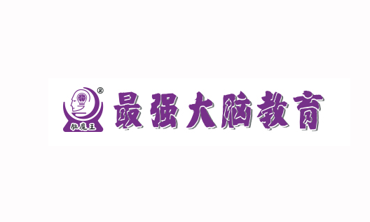 深圳最强大脑网站建设